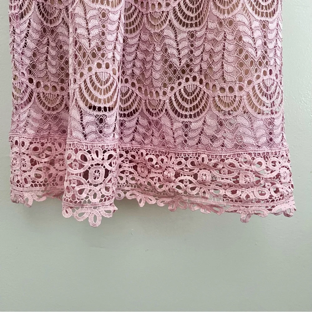 Current Air Affair Pink Lace Dress - Picture 9 of 16